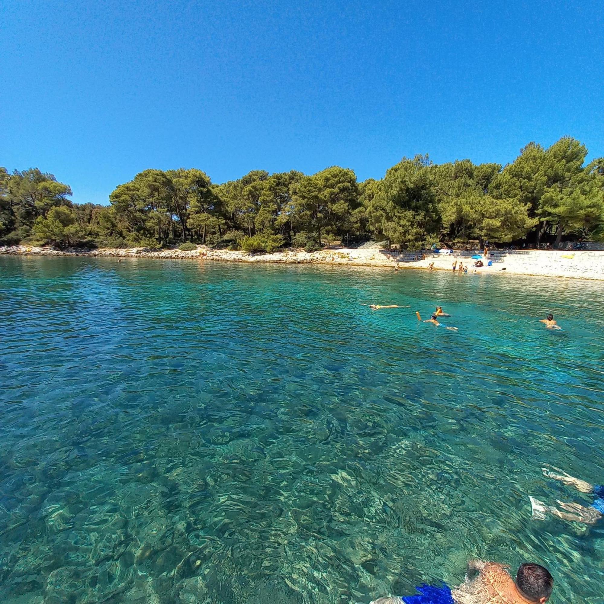 Nadia Seaview